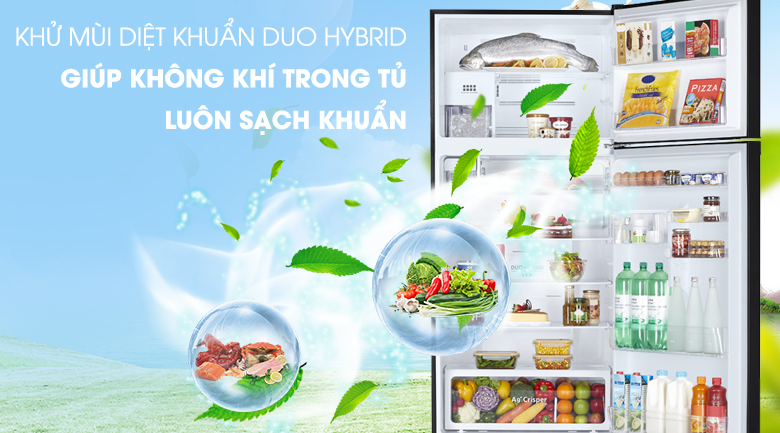 Hệ thống Duo Hybrid - Tủ lạnh Toshiba Inverter 608 lít GR-AG66VA (XK)