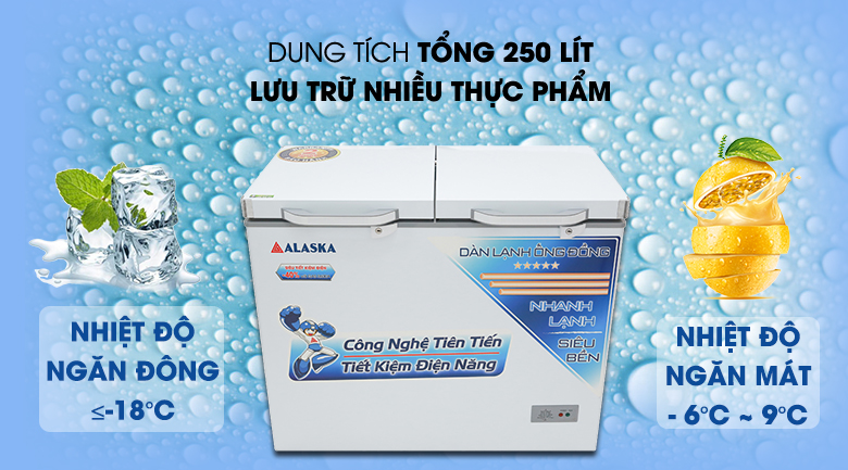 Tủ đông Alaska 250 lít BCD-3068C