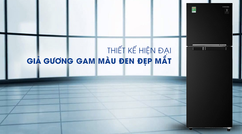 Tủ lạnh Samsung Inverter 236 lít RT22M4032BU