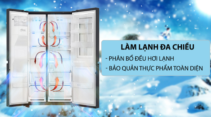 Tủ lạnh LG Inverter 613 lít GR-B247WB