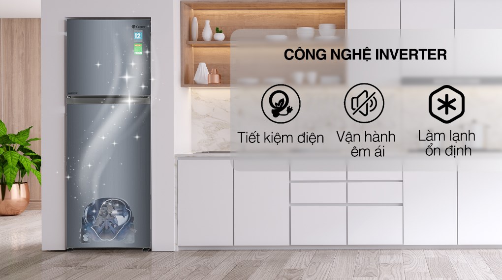 Tủ lạnh Casper Inverter 238 lít RT-250VD