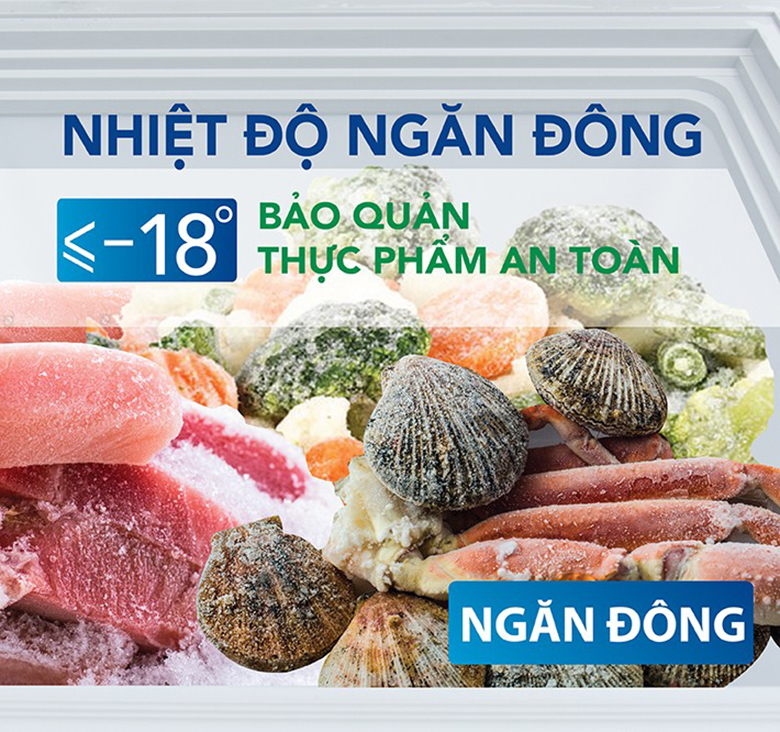 Tủ đông Hòa Phát 162 lít HCF 336S1Đ1